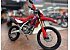 New 2025 Honda CRF300L ABS