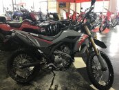 New 2025 Honda CRF300L