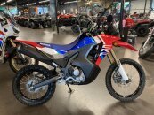 New 2025 Honda CRF300L Rally ABS