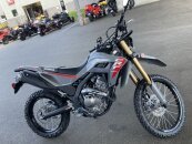 New 2025 Honda CRF300L