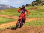 Thumbnail Photo 5 for New 2025 Honda CRF450R