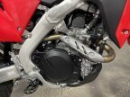 Thumbnail Photo 2 for New 2025 Honda CRF450RL