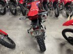 Thumbnail Photo 6 for New 2025 Honda CRF450RL