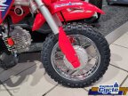 Thumbnail Photo 1 for New 2025 Honda CRF50F