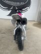 Thumbnail Photo 4 for New 2025 Honda CRF50F