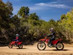 Thumbnail Photo 5 for New 2025 Honda CRF50F