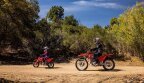 Thumbnail Photo 4 for New 2025 Honda CRF50F