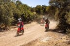 Thumbnail Photo 3 for New 2025 Honda CRF50F