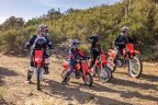Thumbnail Photo 6 for New 2025 Honda CRF50F