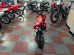 Thumbnail Photo 4 for New 2025 Honda CRF50F