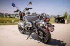 Thumbnail Photo 2 for New 2025 Honda Dax 125