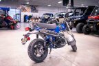 Thumbnail Photo 4 for New 2025 Honda Dax 125