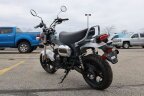 Thumbnail Photo 3 for New 2025 Honda Dax 125