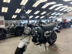 Thumbnail Photo 3 for New 2025 Honda Dax 125