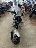 Thumbnail Photo 2 for New 2025 Honda Dax 125