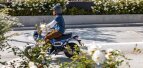 Thumbnail Photo 2 for New 2025 Honda Dax 125