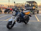 Thumbnail Photo 6 for New 2025 Honda Dax 125