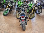 Thumbnail Photo 5 for New 2025 Honda Dax 125