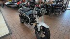 Thumbnail Photo 5 for New 2025 Honda Dax 125