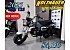 New 2025 Honda Dax 125