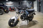 Thumbnail Photo 6 for New 2025 Honda Dax 125