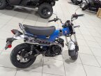 Thumbnail Photo 5 for New 2025 Honda Dax 125