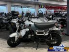 Thumbnail Photo 5 for New 2025 Honda Dax 125