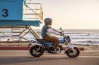 Thumbnail Photo 3 for New 2025 Honda Dax 125