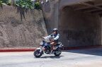 Thumbnail Photo 4 for New 2025 Honda Dax 125