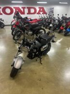 Thumbnail Photo 2 for New 2025 Honda Dax 125