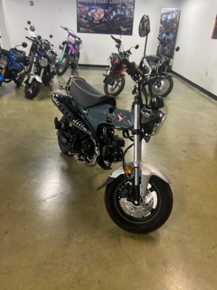 Photo 1 for New 2025 Honda Dax 125
