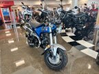Thumbnail Photo 2 for New 2025 Honda Dax 125