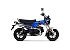 New 2025 Honda Dax 125