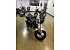 New 2025 Honda Dax 125