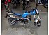 New 2025 Honda Dax 125