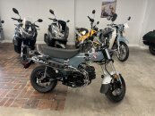 New 2025 Honda Dax 125