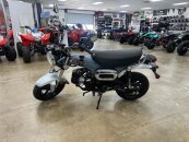 New 2025 Honda Dax 125