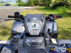 Thumbnail Photo 3 for New 2025 Honda FourTrax Foreman 4x4 Automatic DCT EPS Deluxe