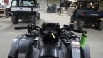 Thumbnail Photo 4 for New 2025 Honda FourTrax Foreman