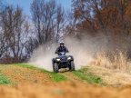 Thumbnail Photo 6 for New 2025 Honda FourTrax Foreman 4x4