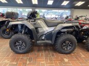 New 2025 Honda FourTrax Foreman 4x4 Automatic DCT EPS Deluxe