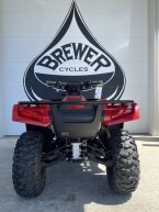 Thumbnail Photo 4 for New 2025 Honda FourTrax Foreman Rubicon 4x4 Automatic