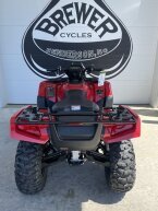 Thumbnail Photo 3 for New 2025 Honda FourTrax Foreman Rubicon 4x4 Automatic