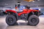 Thumbnail Photo 6 for New 2025 Honda FourTrax Foreman Rubicon 4x4 Automatic
