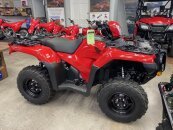 New 2025 Honda FourTrax Foreman Rubicon 4x4 EPS