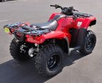 Thumbnail Photo 5 for 2025 Honda FourTrax Rancher 4x4 Automatic DCT EPS
