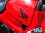 Thumbnail Photo 3 for New 2025 Honda FourTrax Rancher 4x4 Automatic DCT EPS