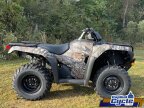 Thumbnail Photo 4 for New 2025 Honda FourTrax Rancher 4x4