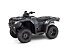 New 2025 Honda FourTrax Rancher 4x4 Automatic DCT EPS