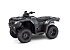 New 2025 Honda FourTrax Rancher